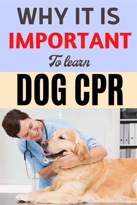 fendi dog cpr|Performing Pet CPR: Everything You Need to Know .